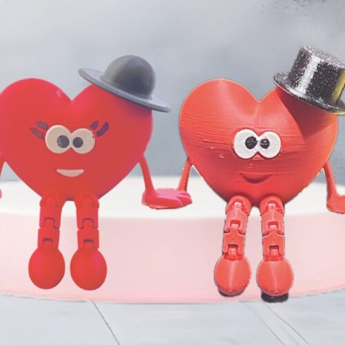 FLEXY SRĆEKO GOSPOĐA I GOSPODIN