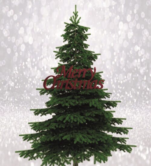 VISEĆI UKRASI MERRY CHRISTMAS - Slika 14