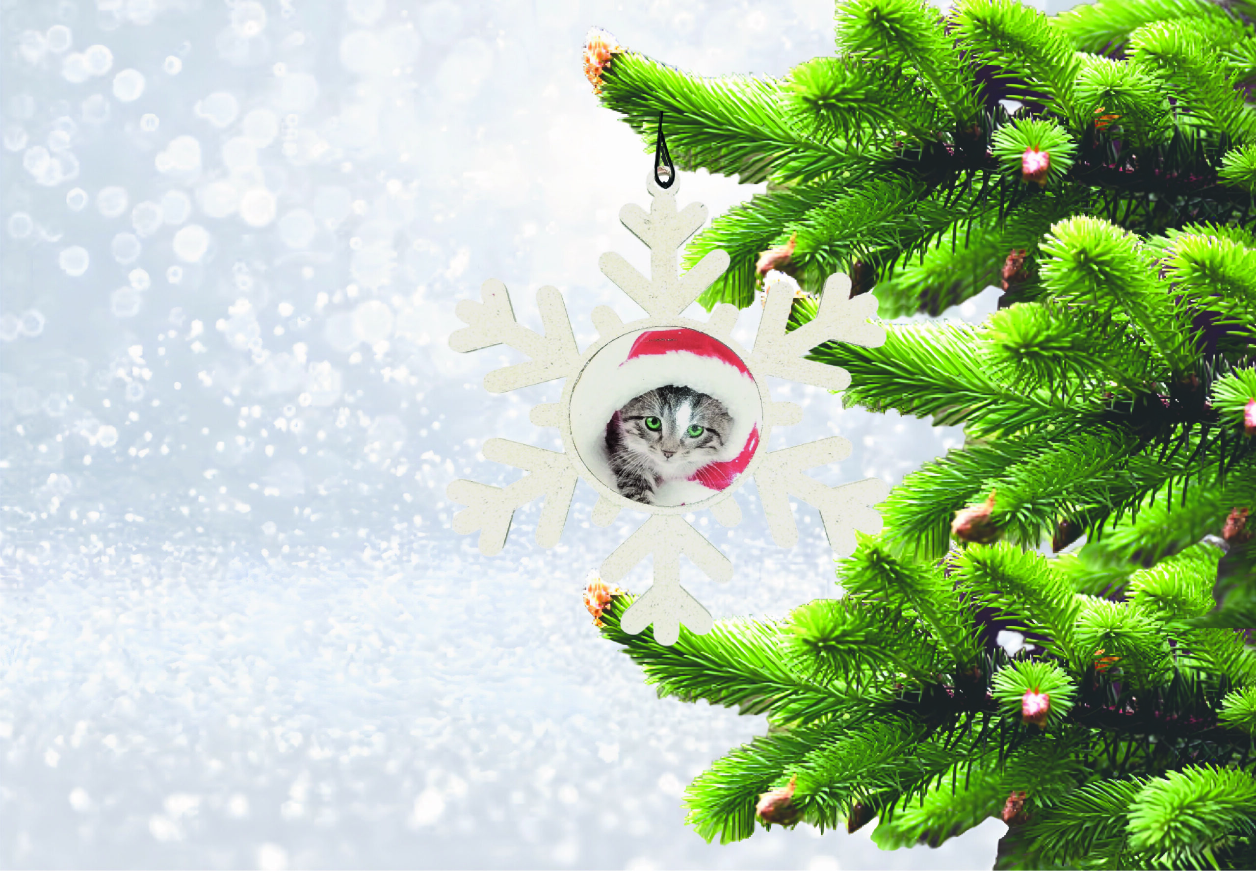 PERSANOLIZIRANA KUGLICA ZA BOR SA SLIKOM U BOŽIĆNIM MOTIVIMA - Slika 7