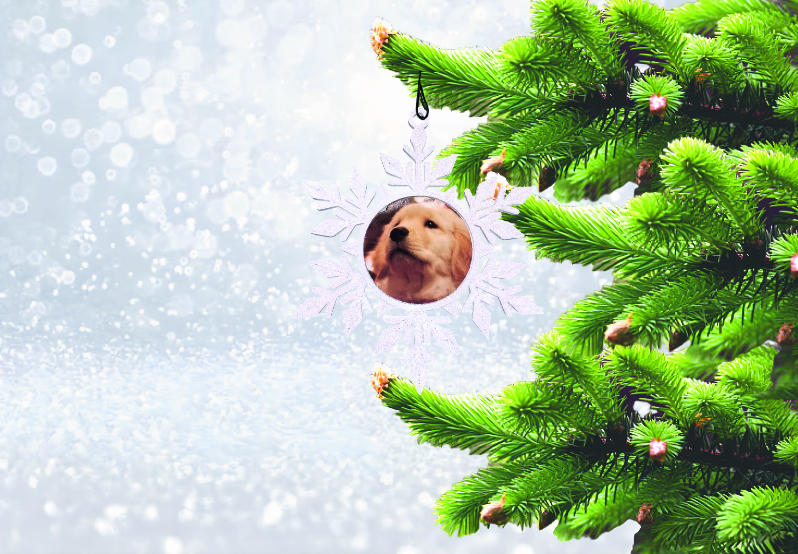 PERSANOLIZIRANA KUGLICA ZA BOR SA SLIKOM U BOŽIĆNIM MOTIVIMA - Slika 9