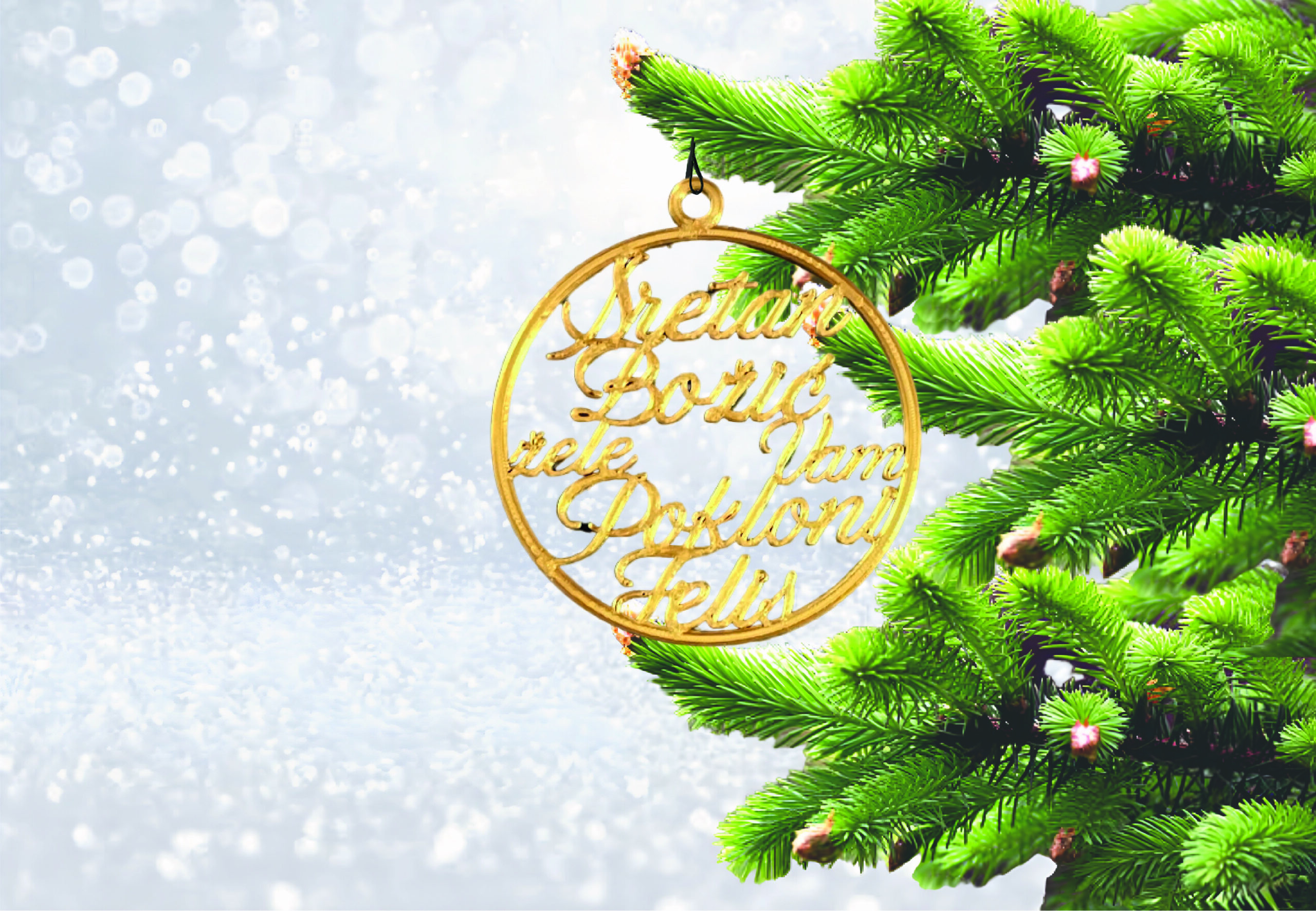 PERSONALIZIRANA KUGLICA PO IZBORU KUPCA - Slika 3