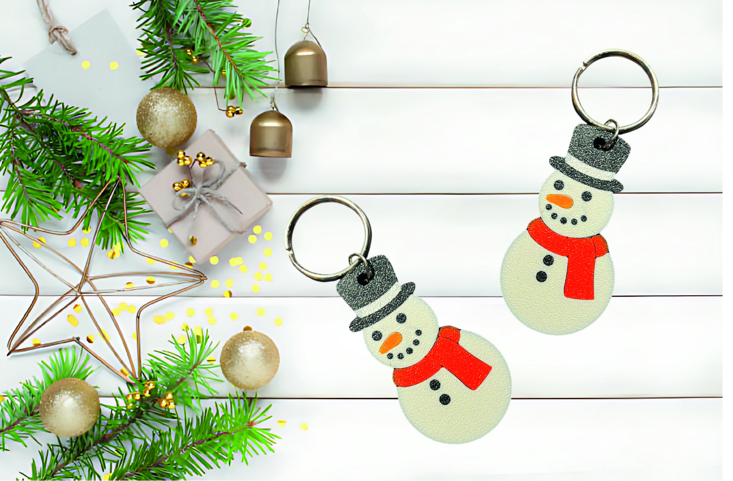 PRIVJESAK SNJEŠKO #2