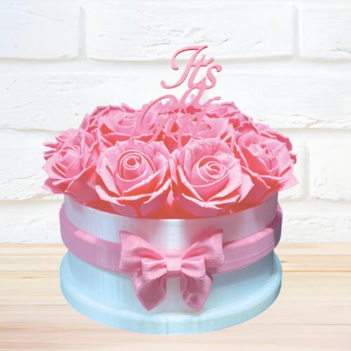 FOREVER ROSEBOX SA NATPISOM ITS A GIRL